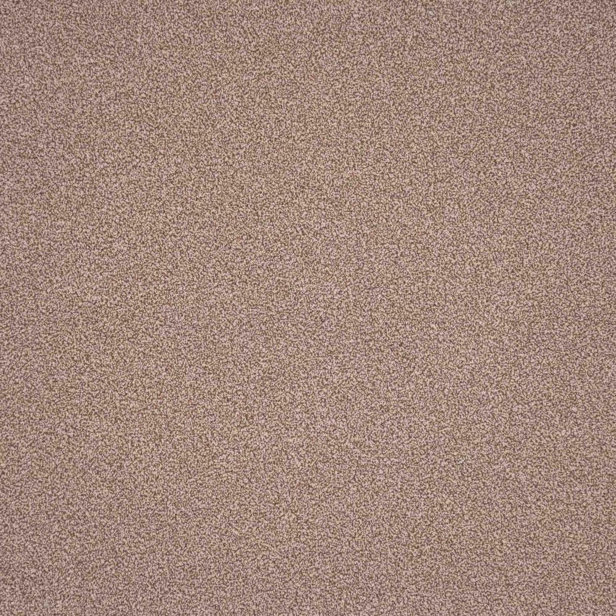 Elegance Carpet