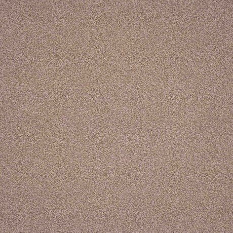 Elegance Carpet