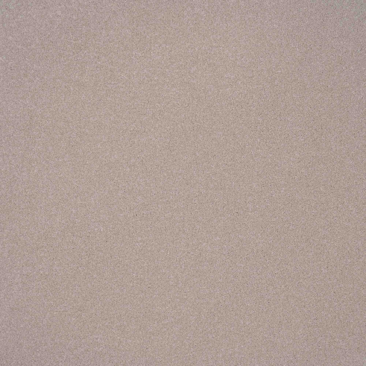 Elegance Carpet