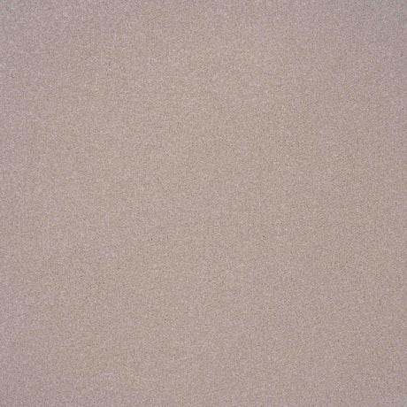 Elegance Carpet
