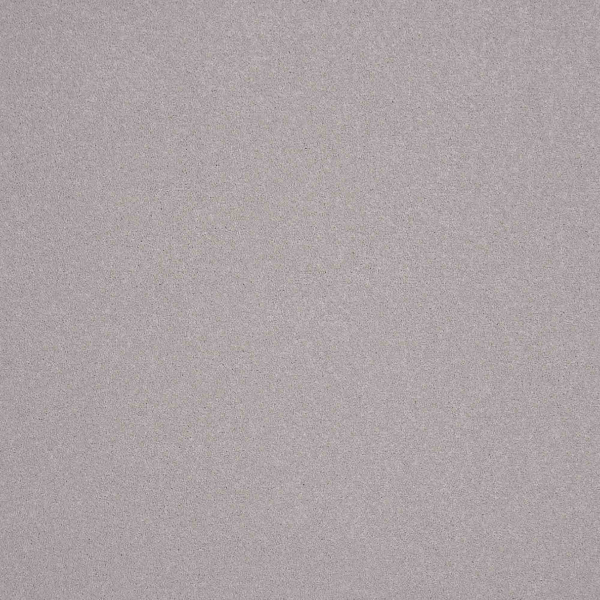 Elegance Carpet