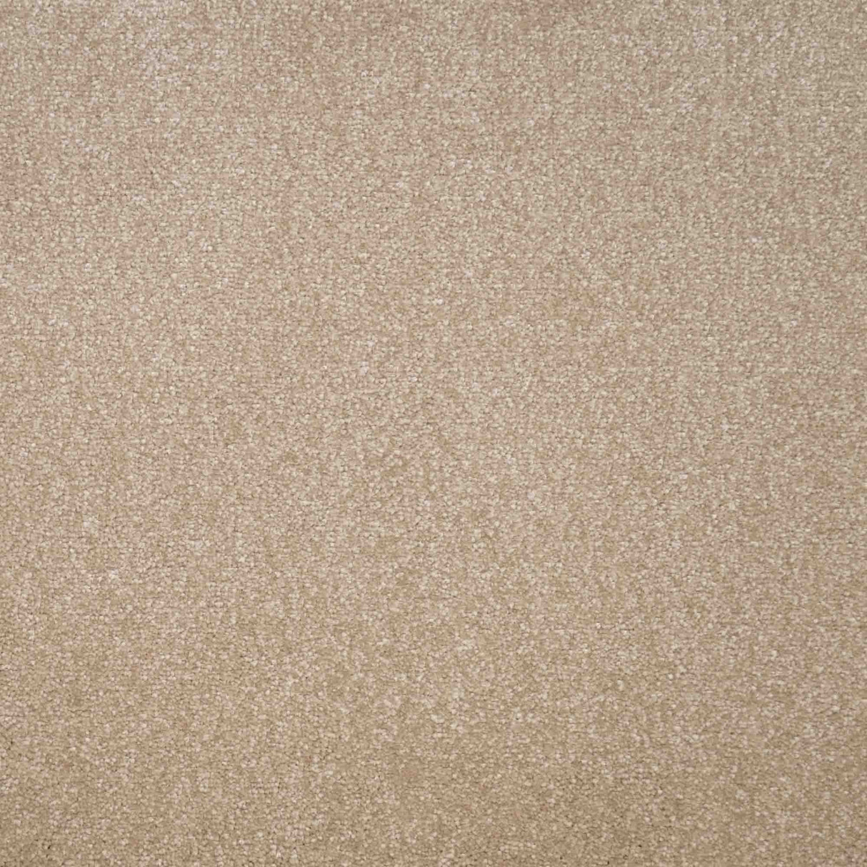 Eminence Carpet
