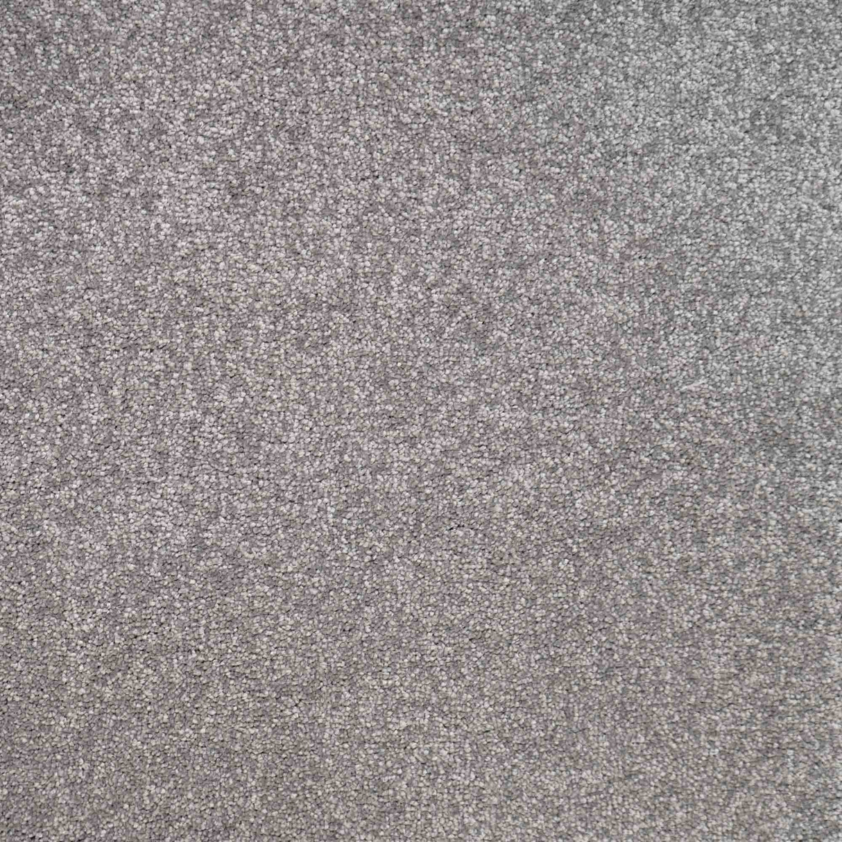 Eminence Carpet