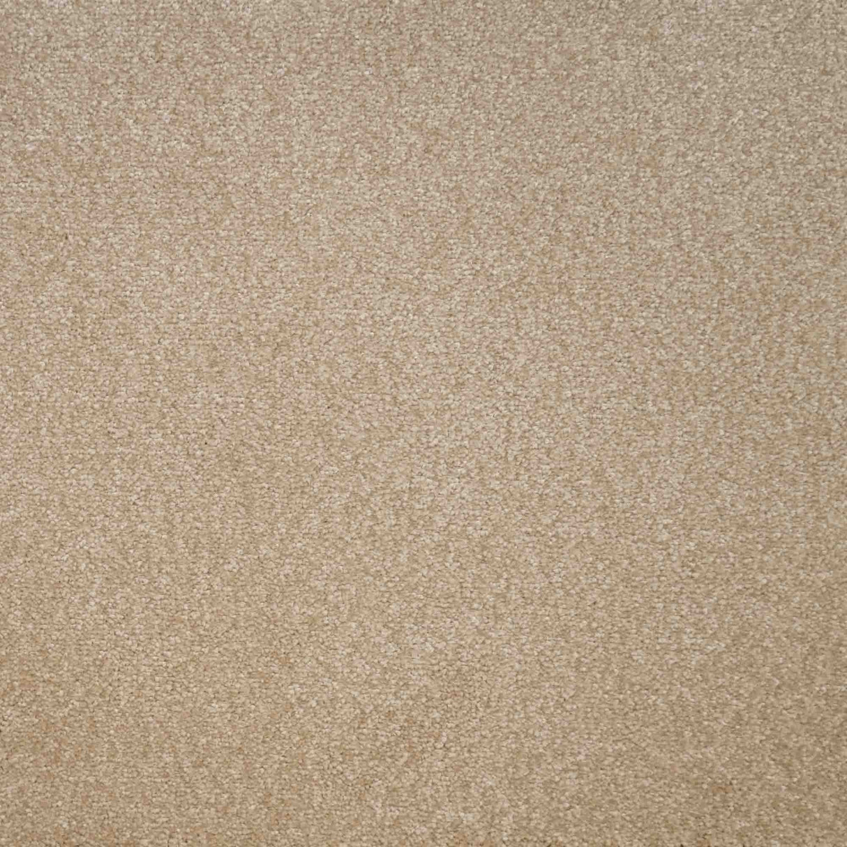 Eminence Carpet