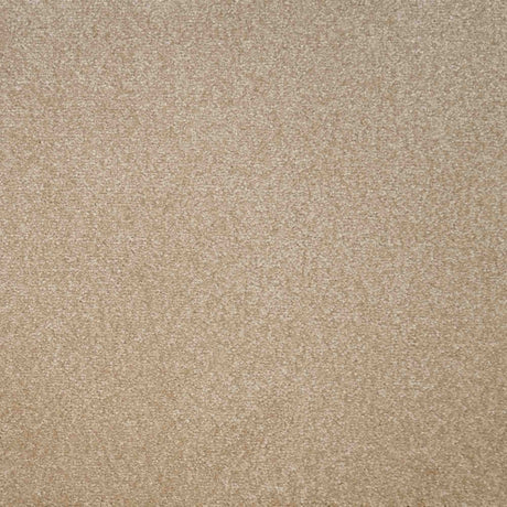 Eminence Carpet