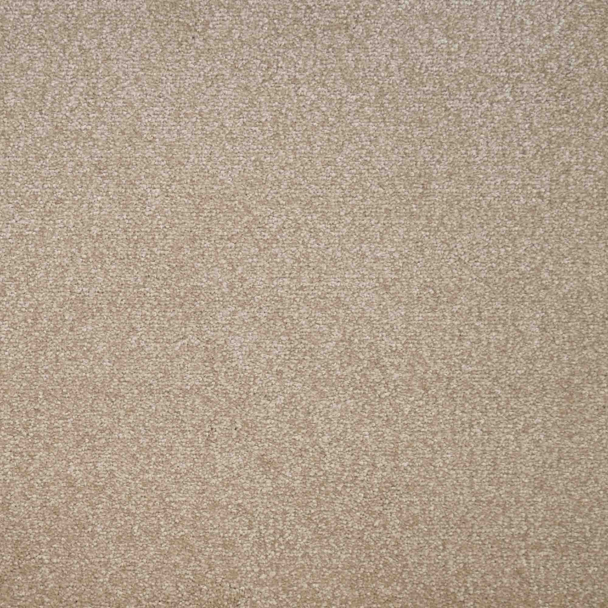 Eminence Carpet