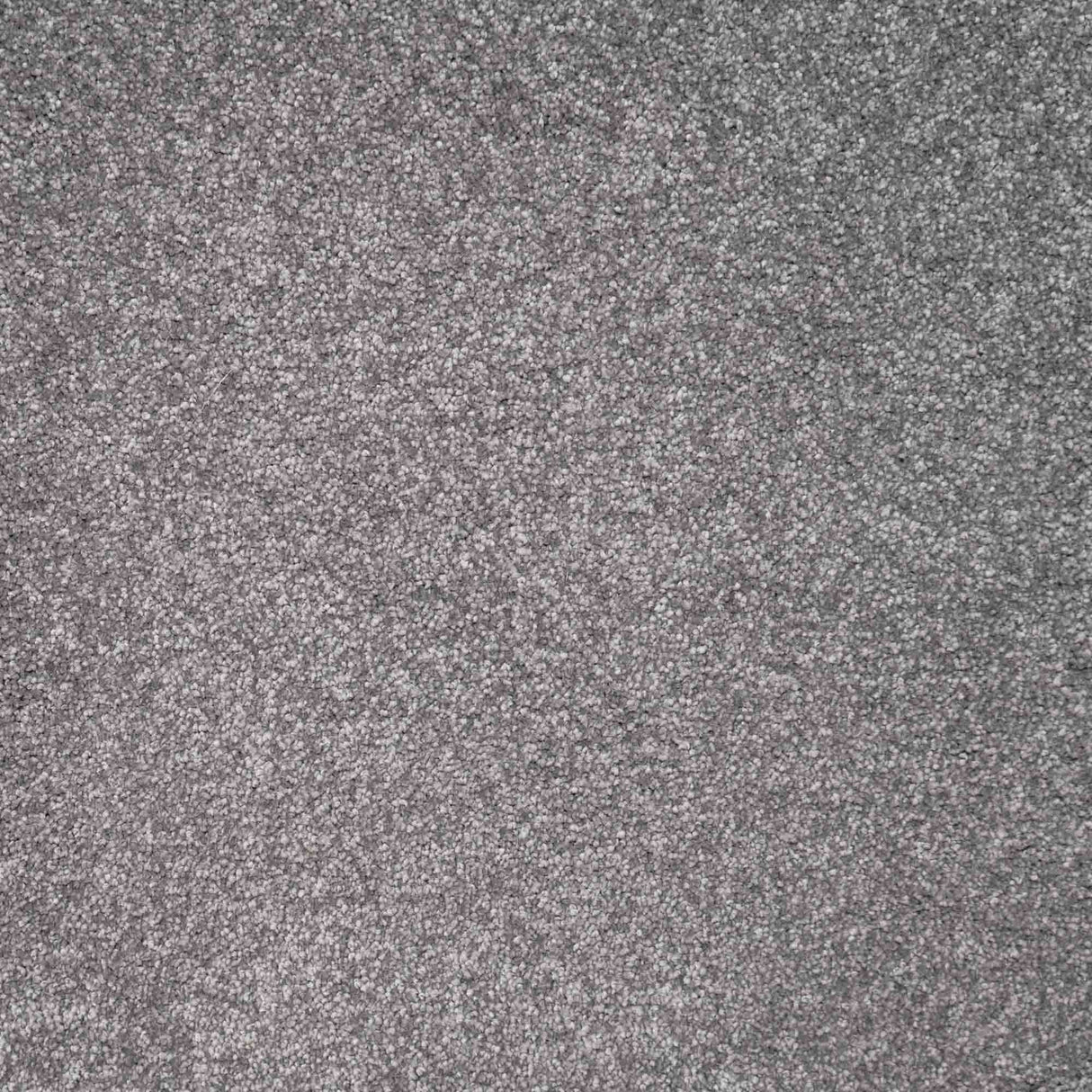 Eminence Carpet