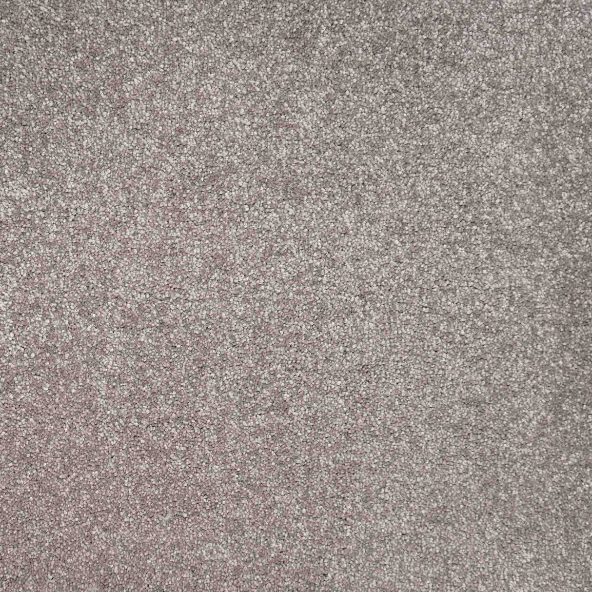 Eminence Carpet
