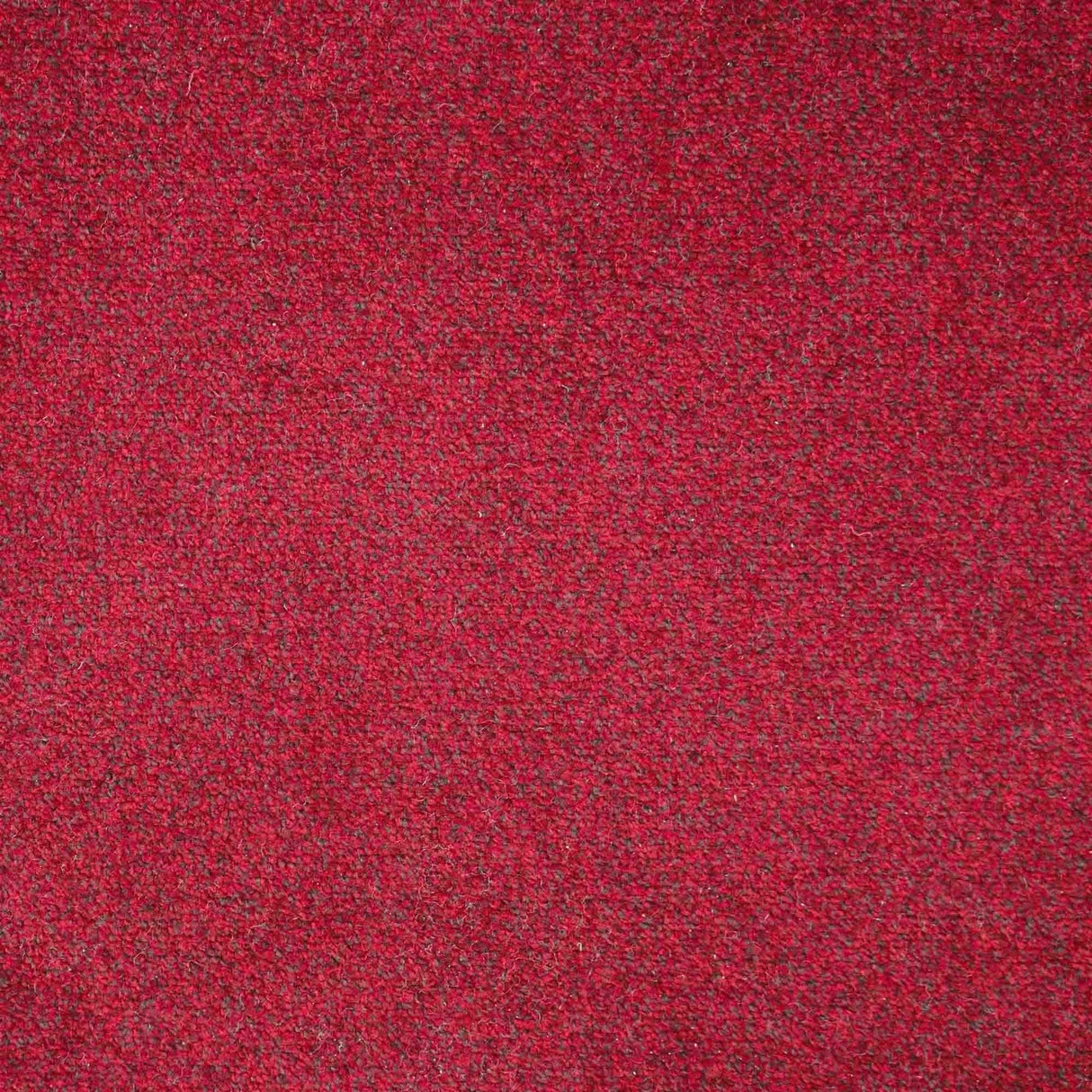 Fairway Carpet