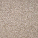 Fairway Carpet