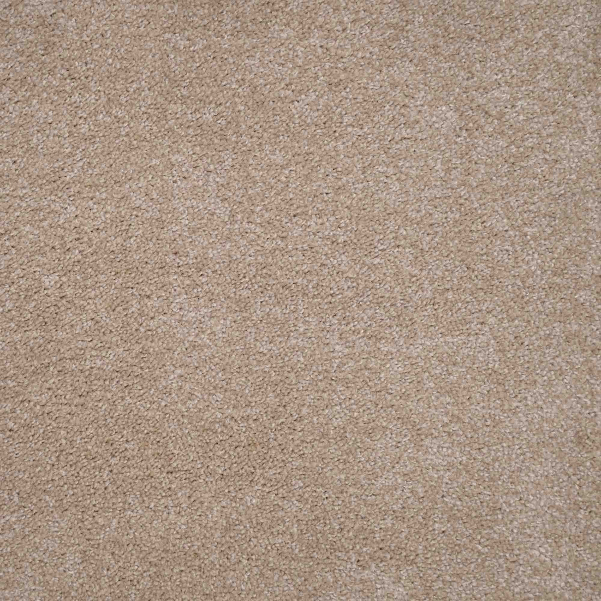 Harmony Carpet