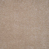 Harmony Carpet