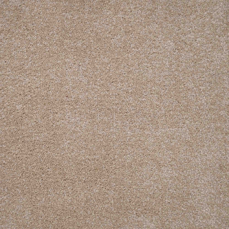 Harmony Carpet