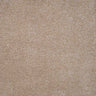 Harmony Carpet