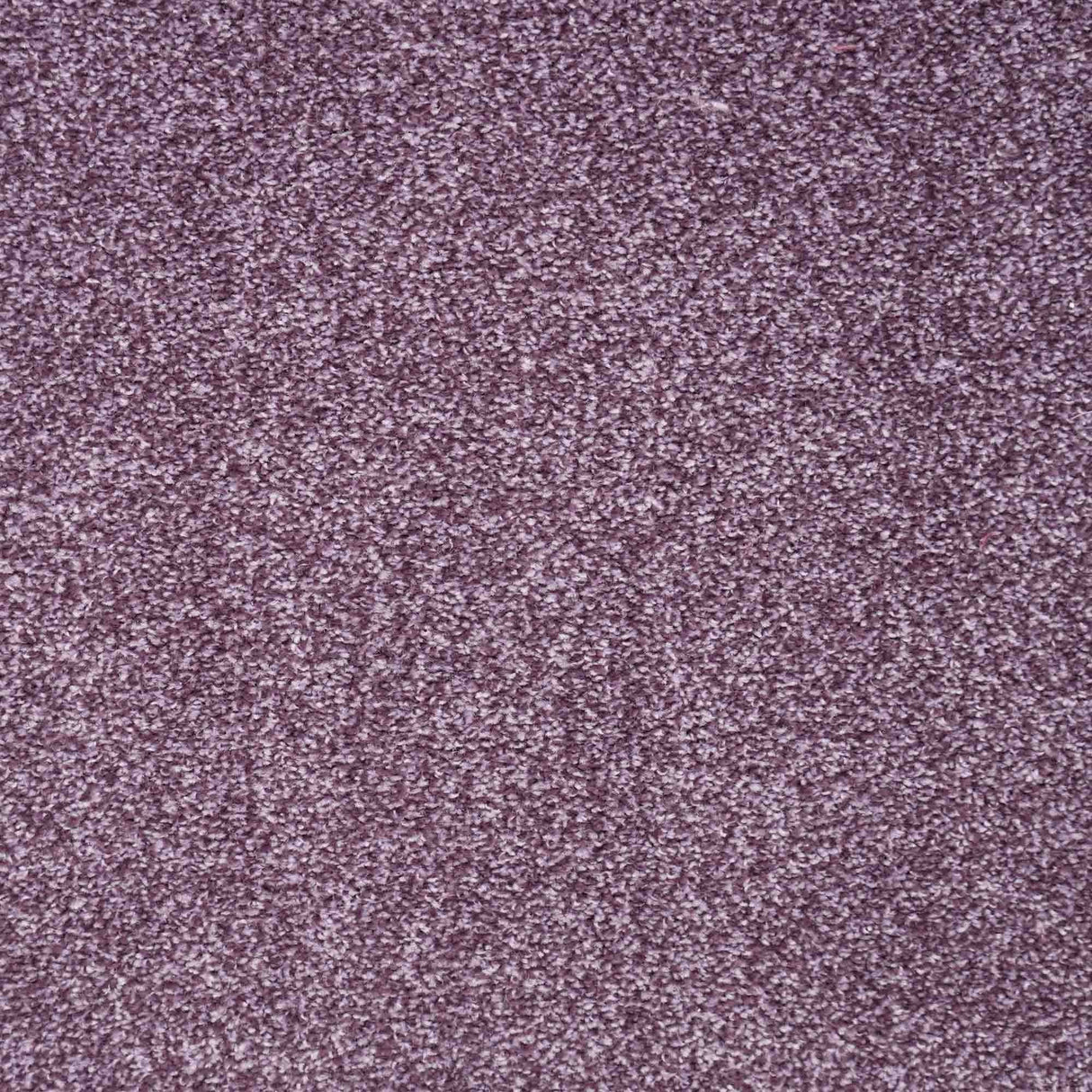 Harmony Carpet