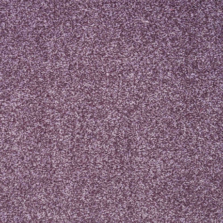 Harmony Carpet