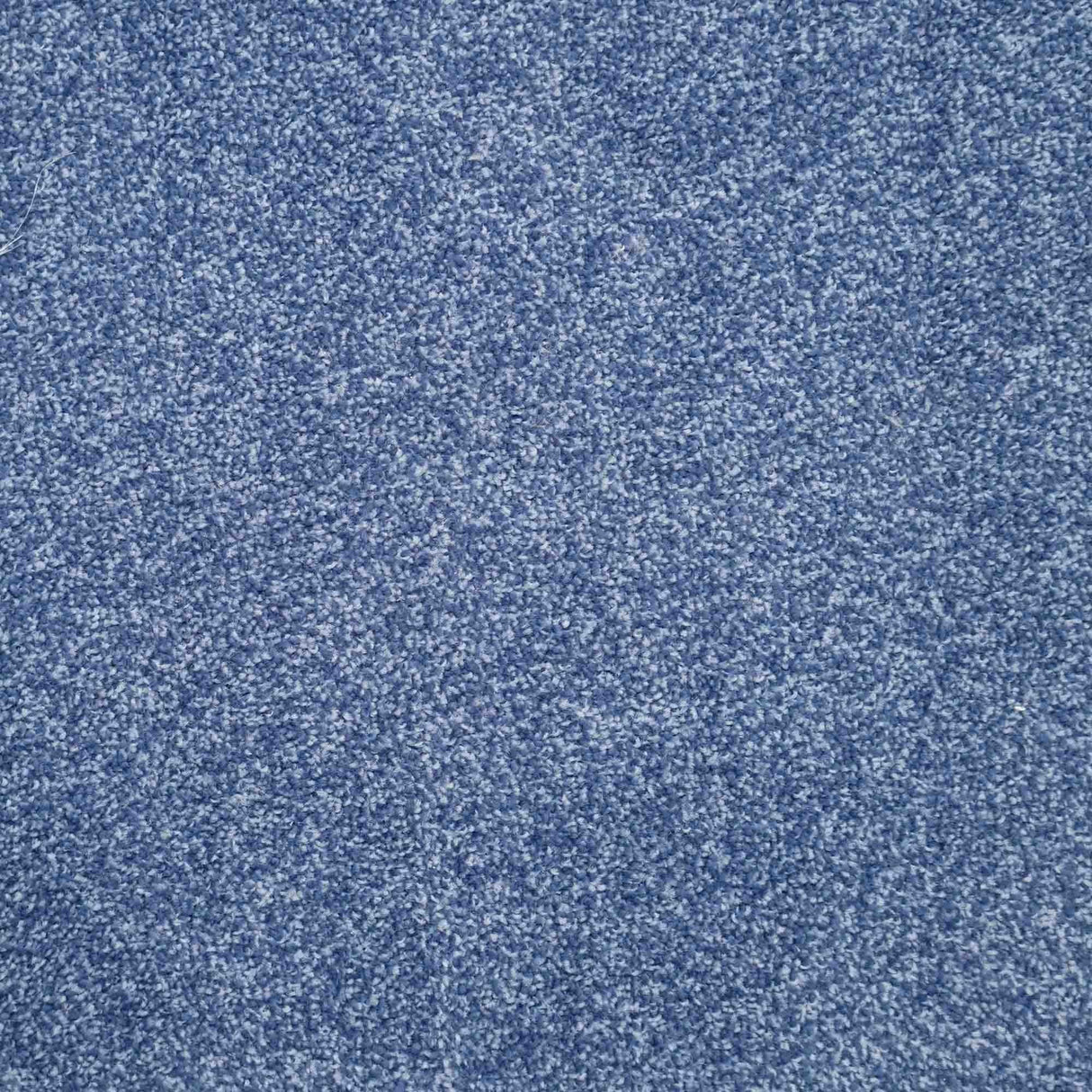 Harmony Carpet