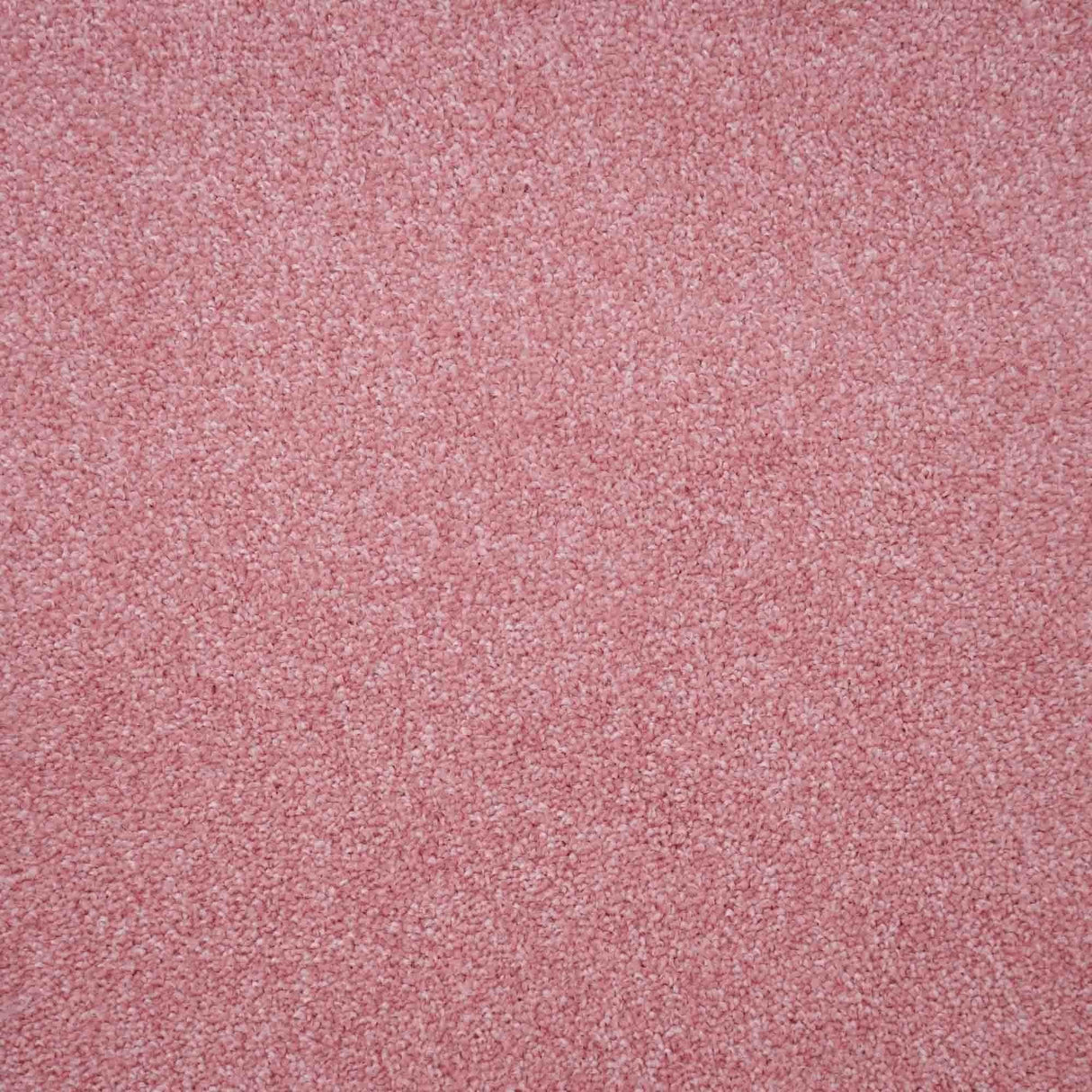 Harmony Carpet