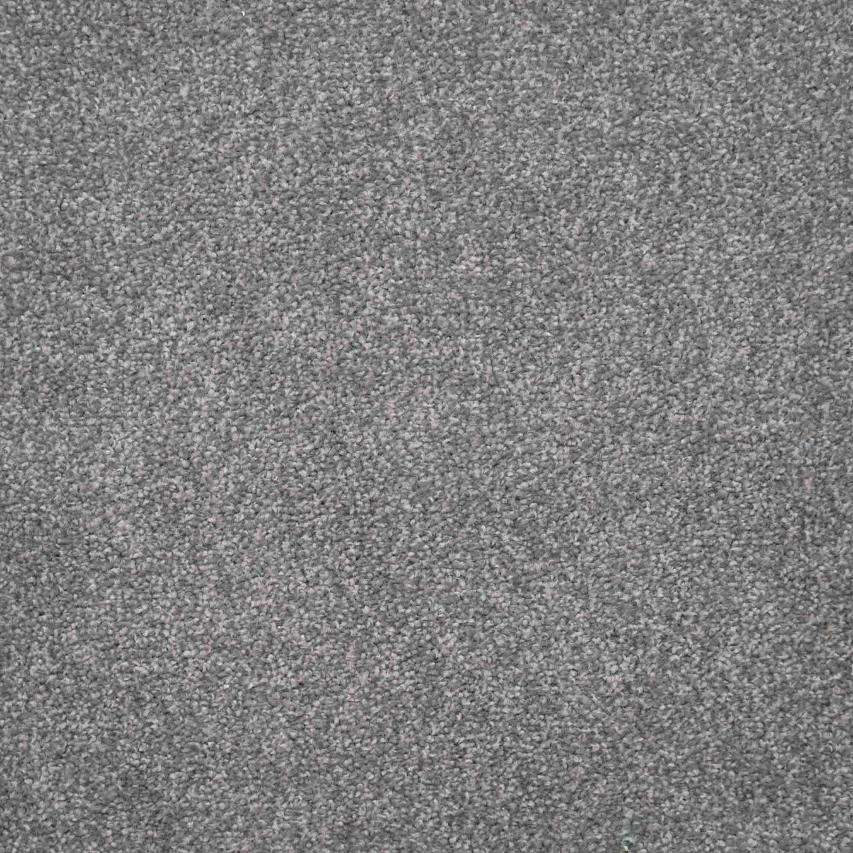 Harmony Carpet