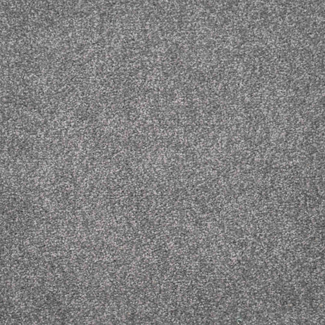 Harmony Carpet