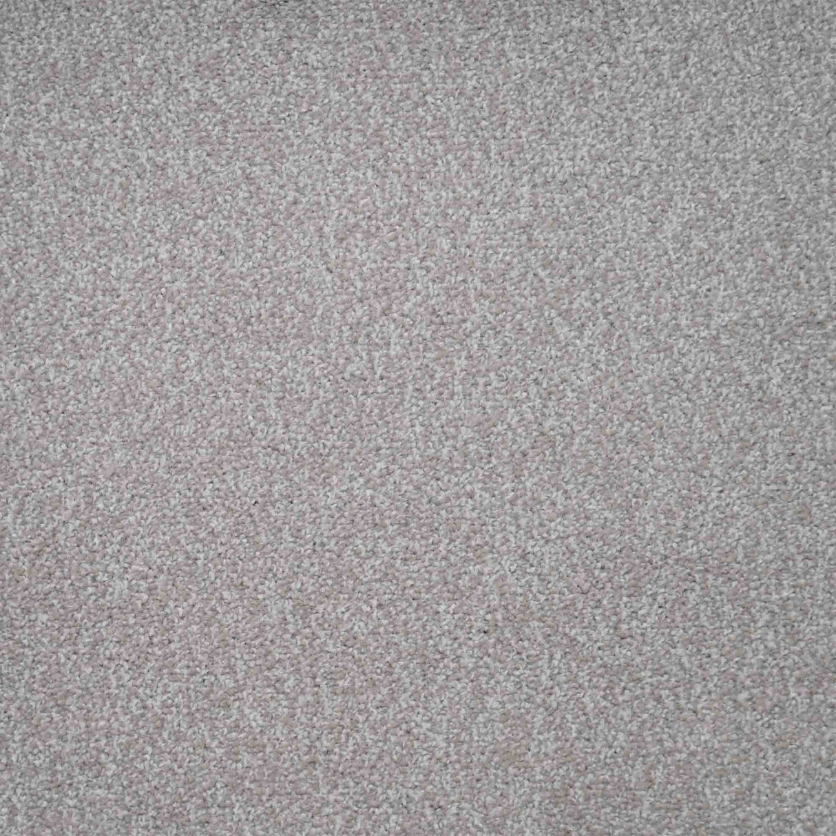 Harmony Carpet