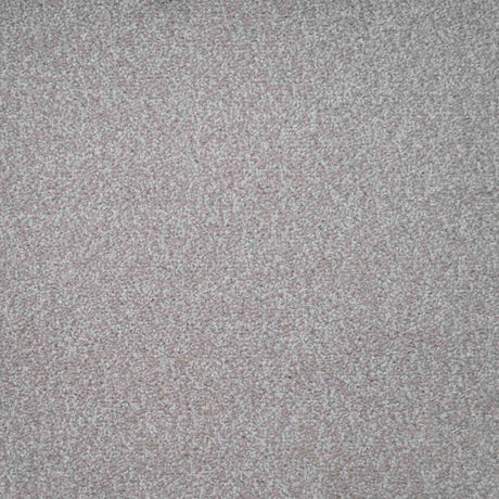 Harmony Carpet