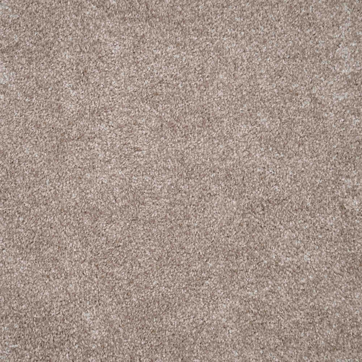 Harmony Carpet