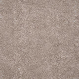 Harmony Carpet