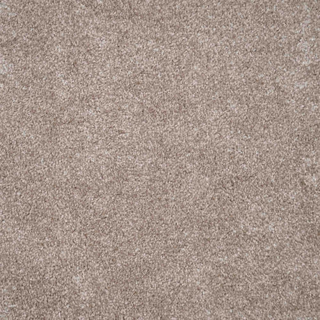 Harmony Carpet