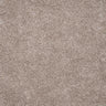 Harmony Carpet