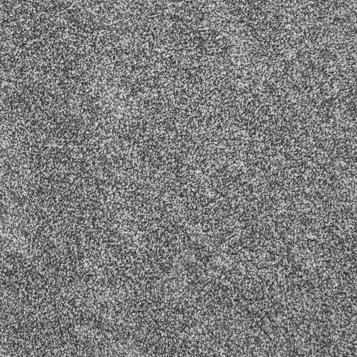 Harmony Carpet