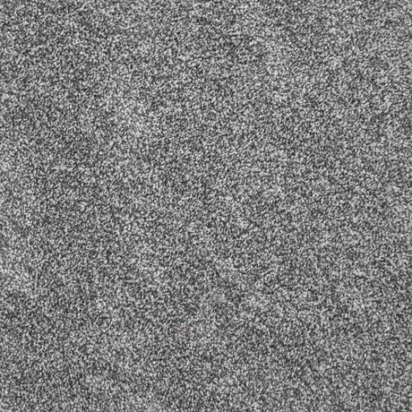 Harmony Carpet