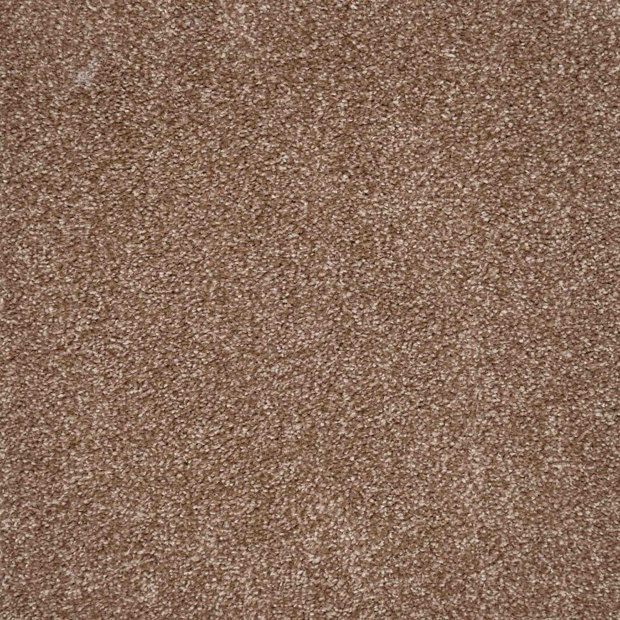Harmony Carpet