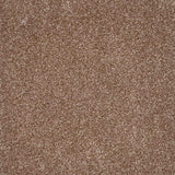 Harmony Carpet