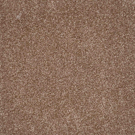 Harmony Carpet