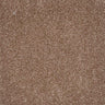 Harmony Carpet