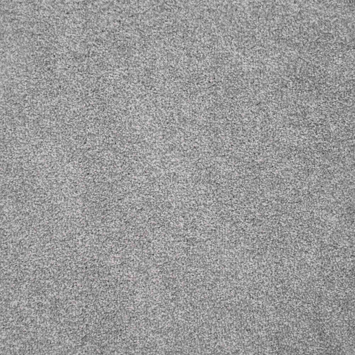 Harmony Carpet