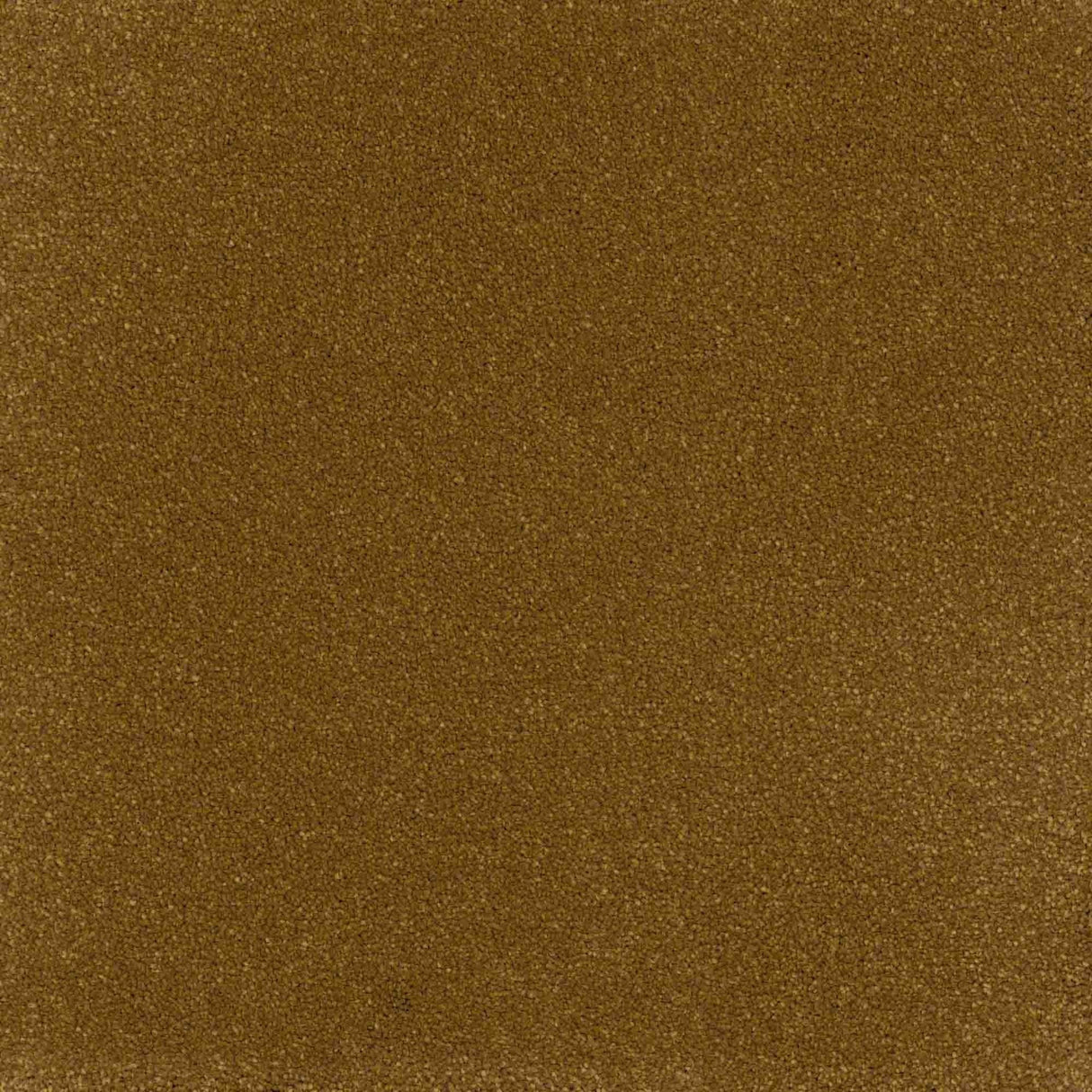 Inspiration Carpet