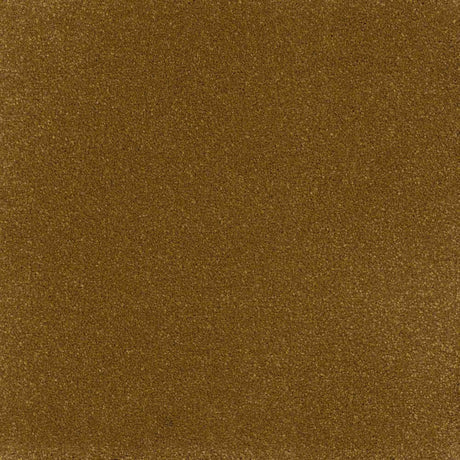 Inspiration Carpet