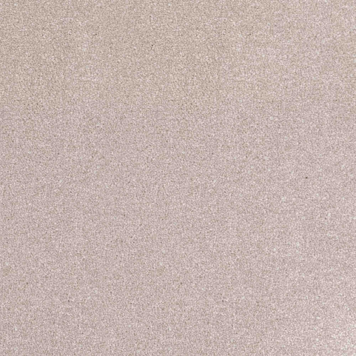 Inspiration Carpet