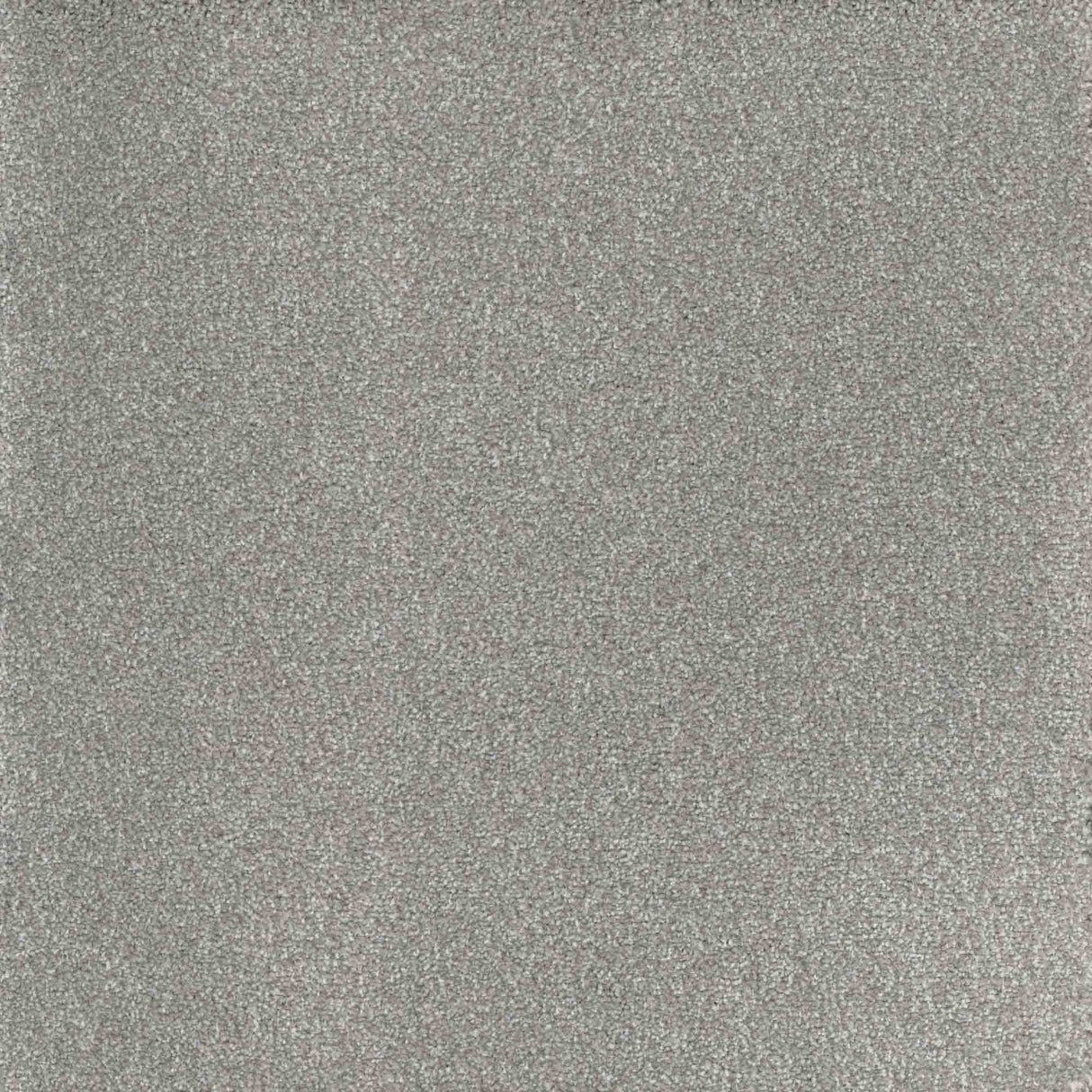 Inspiration Carpet