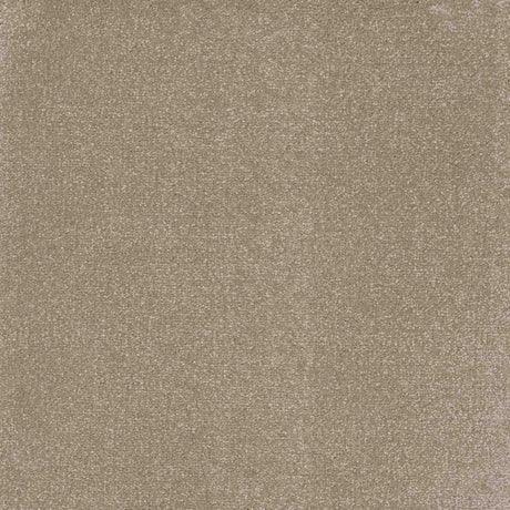 Inspiration Carpet
