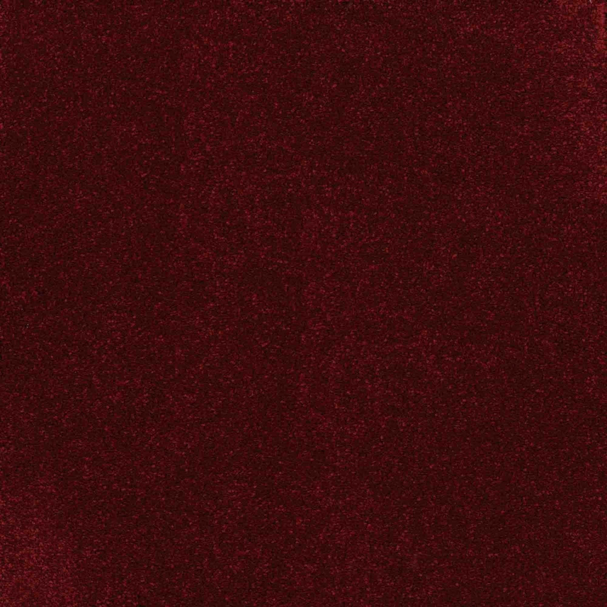 Inspiration Carpet