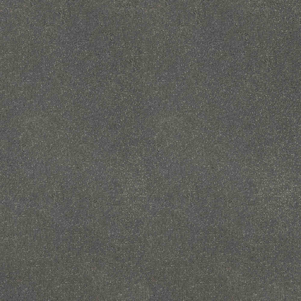 Inspiration Carpet