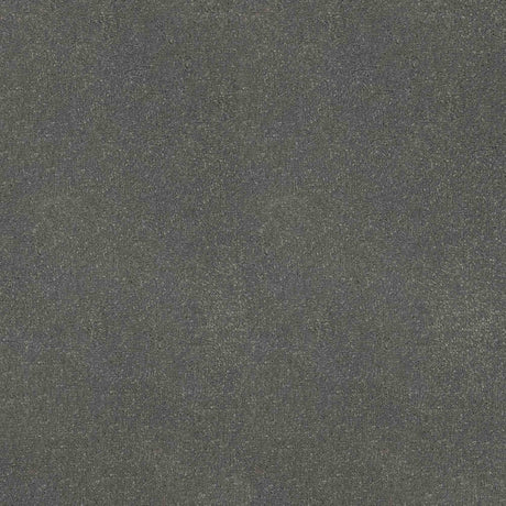 Inspiration Carpet