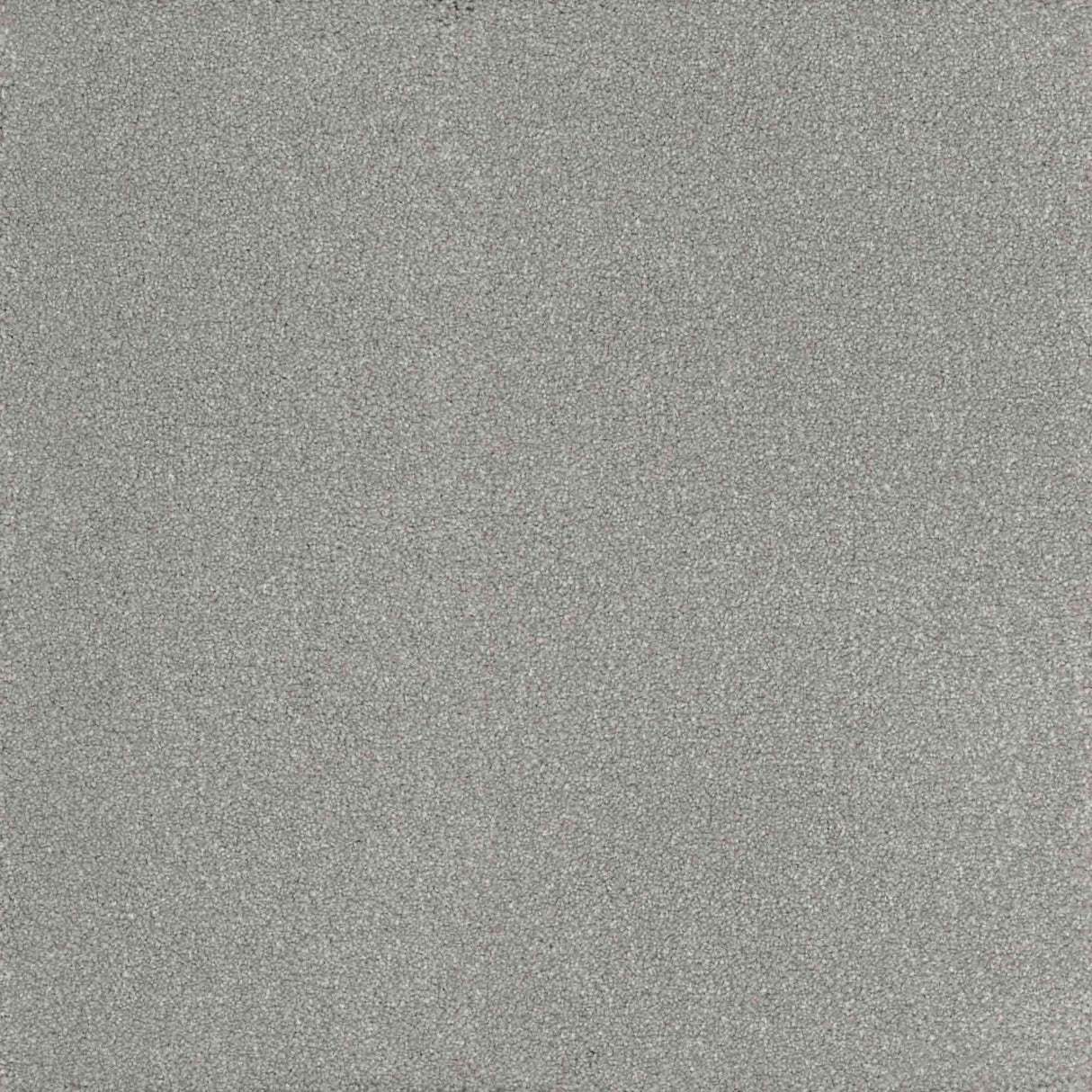 Inspiration Carpet