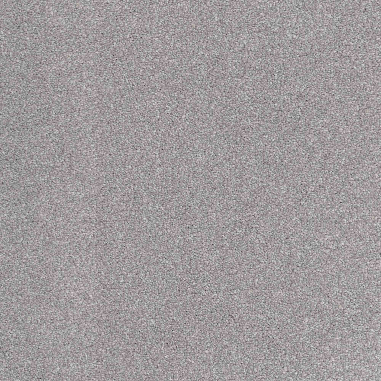 Inspiration Carpet