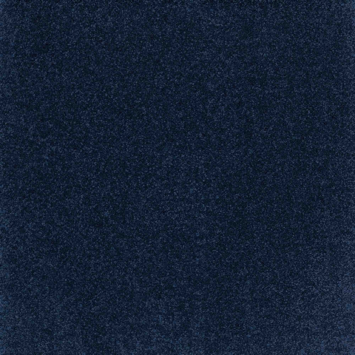 Inspiration Carpet