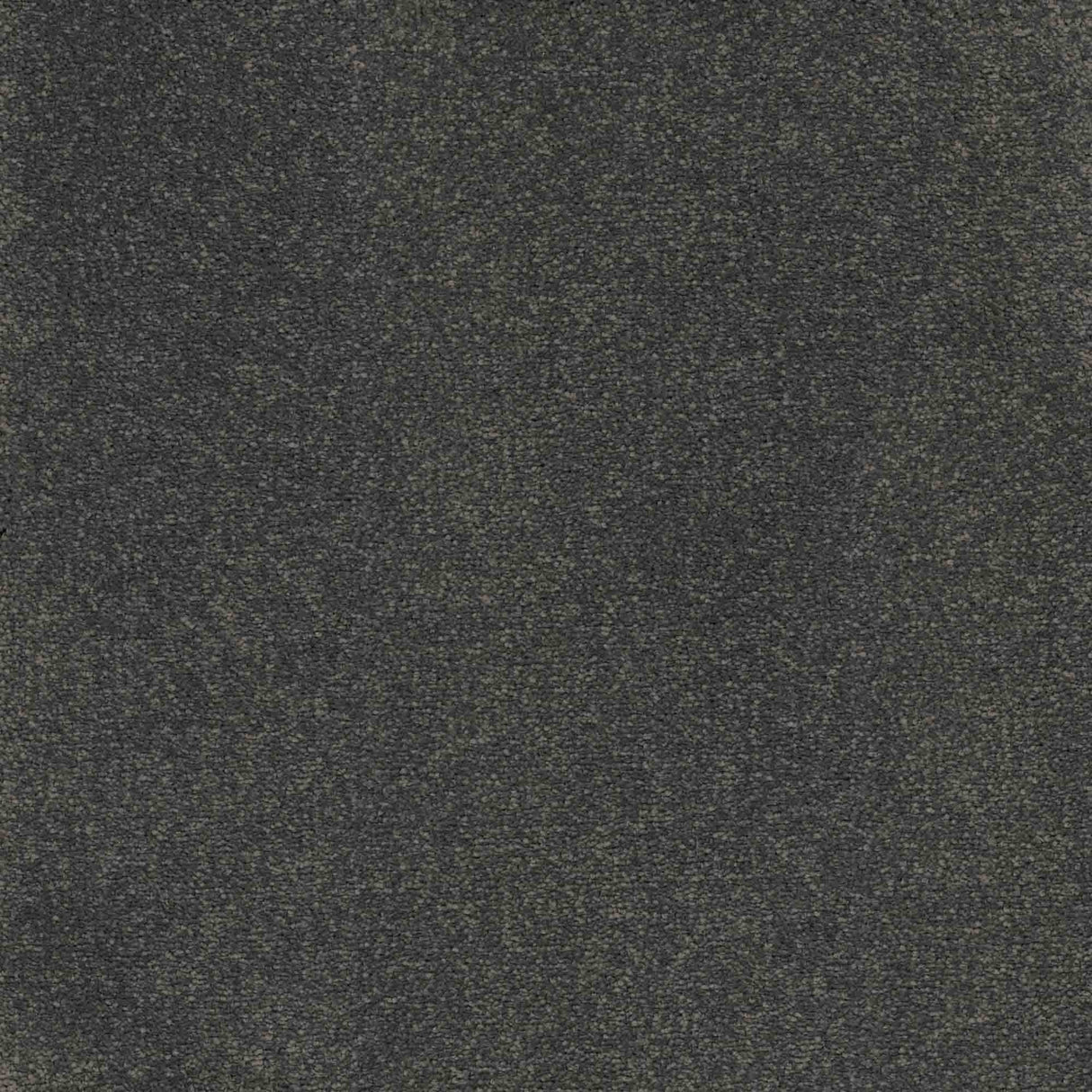 Inspiration Carpet