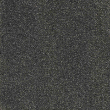 Inspiration Carpet